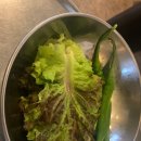 중랑동부시장 티스토리