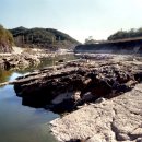 진주 유수리 백악기 화석산지 이미지