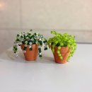 (원데이) 그린 플랜트 | 초보 식집사의 죽지않는 식물, 아운드의 “비즈플랜트” 내돈내산 후기