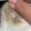 세모메디칼 이미지