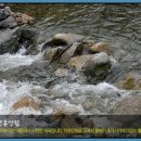 태백고원자연휴양림 이미지