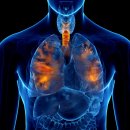 팔달쾌속한의원 이미지