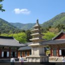 상주 금흔리 이부곡토성 네이버블로그