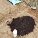 일우농장 이미지