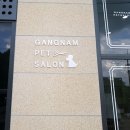 강남펫살롱 이미지