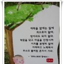 ~☆★ 747기 7월10~13일 /금~월요일 출석부(지리산 은해사를 아시나요?)^^★☆~ 이미지