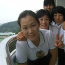 핑크 스파이더 이미지