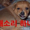 수댕이네 이미지