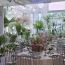 안양 | 더파티움 안양 상담 후기 | 27년 식대 견적 공유 (계약X)