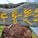 논짓물 횟집 브런치