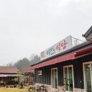 와룡태리승마장