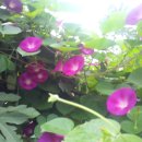 동서고추방앗간 이미지