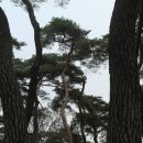 솔밭도서관 이미지