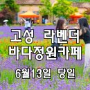 고성 하늬라벤더팜 · 바다정원카페 + 속초 동명항 · 영금정 · 등대전망대 이미지