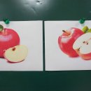 [5학년 빛깔과 모양] 9월 5일 : 먹음직한 사과 그리기 이미지