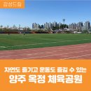 옥정체육공원 농구장 이미지