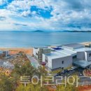 부산의료관광안내센터 이미지