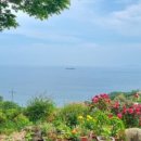 노이하우스 민박 이미지