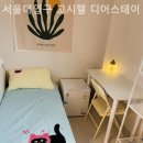 스테이디어