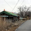 150번길 Daum카페