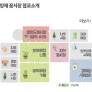 양재시장 네이버블로그