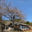 NR-3[함양로]-상-1 | 함양맛집 // 1인당 만팔천원에 상다리 부러지는 한상!! // 함양청학산