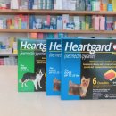 메디컬참약국 이미지