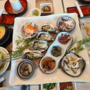 어도참치 이미지