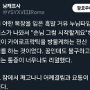 서큐버스