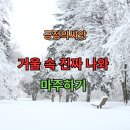 빛나농장 | DAY 7 거울 속 진짜 나와 마주하기