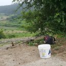 으뜸울금농장 이미지