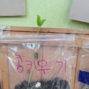 아가페어린이집 이미지