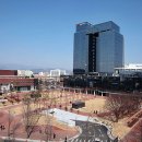 경북대학교 이미지