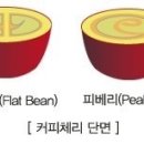 체리코나 네이버블로그