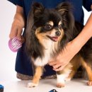 영등포 우신종합 동물병원 이미지