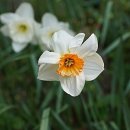 행정사사무소 오늘 이미지