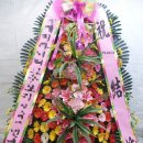 정남꽃농원