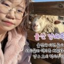 김복남맥주 호계점 이미지