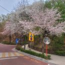 호계중학교 앞 이미지