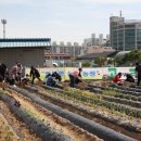 신백초등학교 이미지