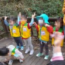 동화나라숲 어린이집 이미지