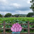 태인 터미널 이미지