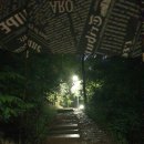 튼튼나무의원 이미지