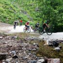 (주)휠타이어나라 이미지