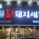 돈돼지 이미지