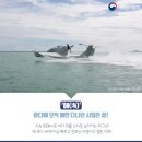 ㈜전진산업 이미지