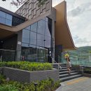 광산사밑 계곡 | 고기리 스타벅스 솔직후기 | 분당 근교 용인 고기리 계곡 카페 추천