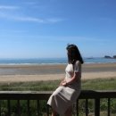 씨맨하우스 이미지