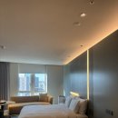 안다즈 서울 강남 | 서울 호캉스 추천, 안다즈 서울강남 내돈내산 솔직후기 ( 조각보 조식 헬스장 수영장 )