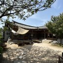 [일상] 경주 황리단길 맛집+카페+먹거리 투어 1편 - 동리 / 1894사랑채 / 향미사 / 십원빵 / 황남우엉김밥